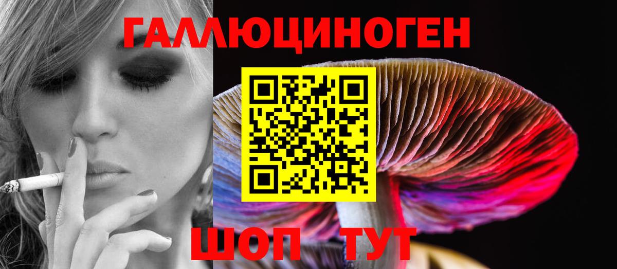 Псилоцибиновые грибы мицелий  Вход с VPN  где найти наркотики  Ейск 